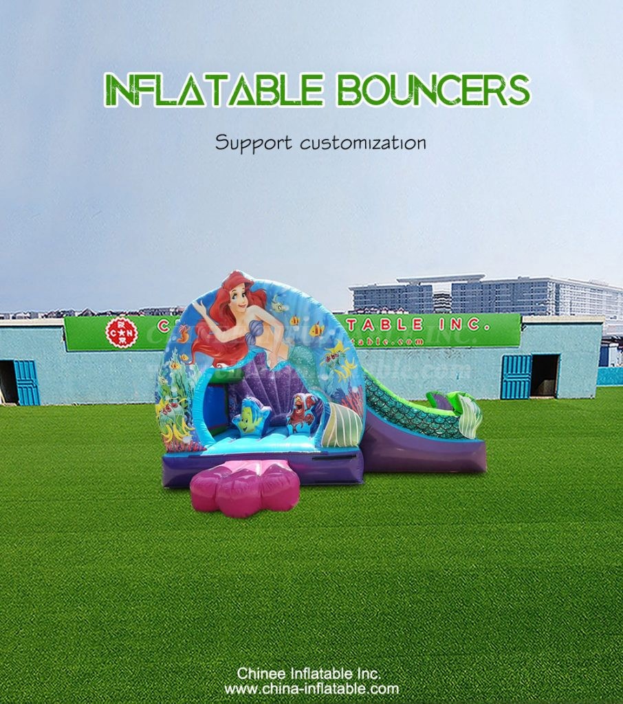 T2-4674-1 - Chinee Inflatable Inc.