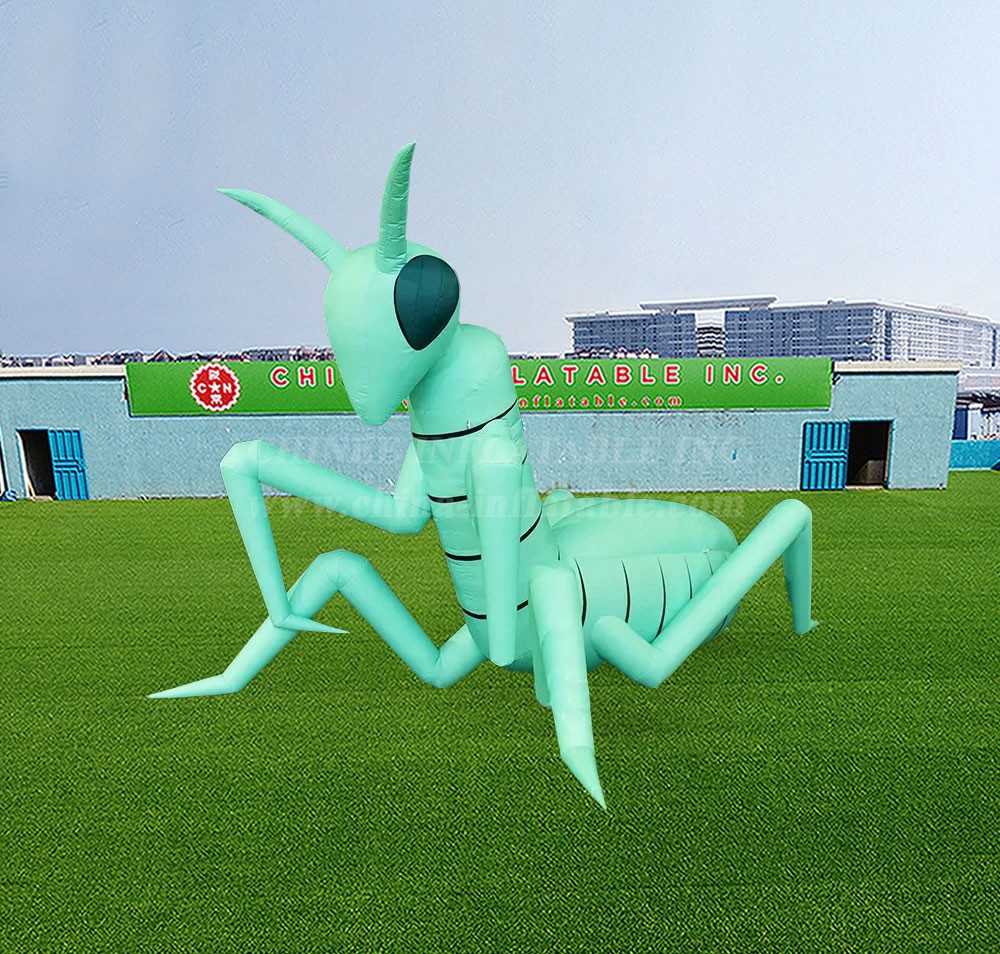 S4-651 Inflatable Cartoon Insect Praying Mantis